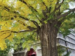 -北京石刻艺术博物馆(五塔寺)