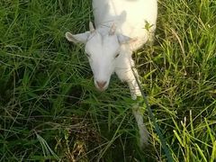 -乡乐园蟹庄·阳澄湖农家乐