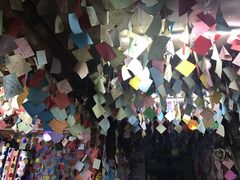 -泸沽肴(泸沽湖大洛水村农村信用社旁店)