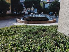 -上海龙之梦万丽酒店