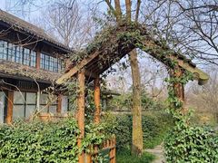 -西溪国家湿地公园