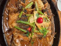 -老板恋上鱼(恒隆广场店)