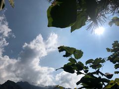 -陕西省红河谷森林公园