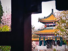 -武清南湖绿博园