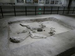 -洛阳周王城天子驾六博物馆