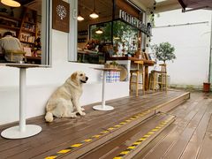 -Cafe In Little Forest