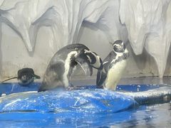 -太平洋海底世界