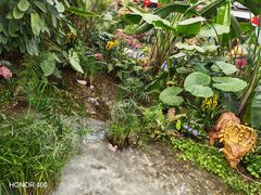 -沈阳植物园