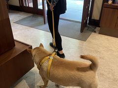 -星巴克臻选(思南公馆店)