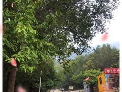 -北京十三陵国家森林公园蟒山景区