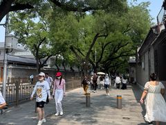 -程府宴-国宴(南长街·四合院店)