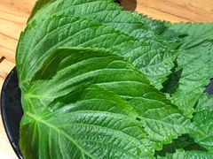 -金山烤肉(中兴公园店)