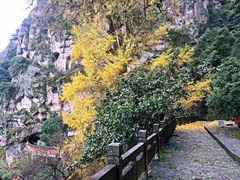 -大慈岩风景区