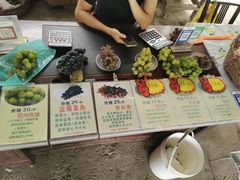 -马陆小张葡萄园农家乐