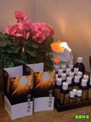 点击看大图 -芳香乐府SPA·五行芳疗