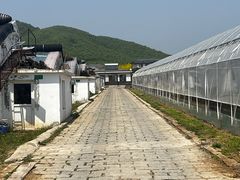 -大连北马山庄