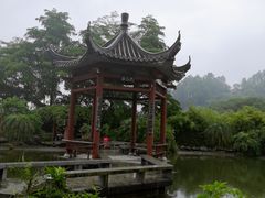 -广州神农草堂中医药博物馆