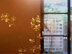 -微热山丘(台北民生公园门市店)