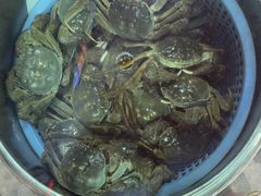 -海盗船. 龙虾烧烤. 酒馆