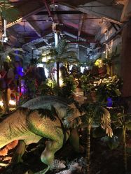 -恐龙探索乐园(磁器口店)