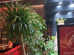 -唐河王记·南阳民间菜(国基路店)