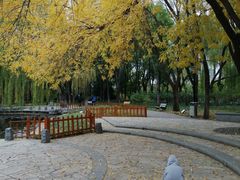 -玲珑塔公园