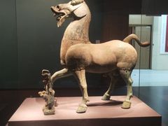 -广西壮族自治区博物馆