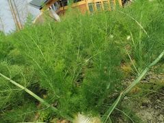 -中国天府农业博览园