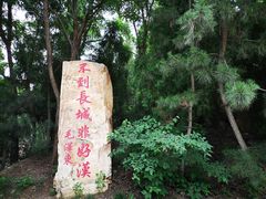 -龙口南山旅游景区