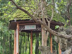 -望江楼公园