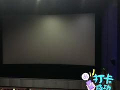 -华谊兄弟影院(IMAX洋桥店)