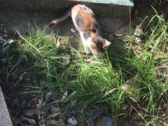 -ZEMOCAFE·FUSION FOOD(西交利物浦店)