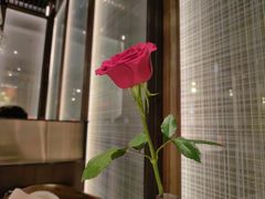 -湖鱼湖·蓉亭食贝(亚运村店)