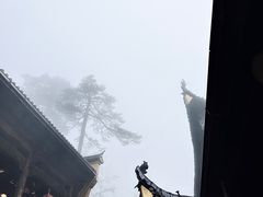 -鸿运楼·舌尖上的徽菜