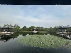 -无锡蠡湖国家湿地公园-蠡园