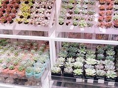-KKV(重庆东原悦荟主力店)