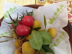 -季季山·云南野生菌火锅(上海首店)