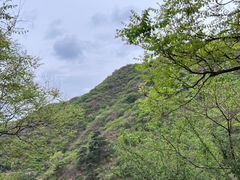 -香山公园