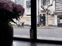 -Apollo·西班牙小酒馆(安福路店)