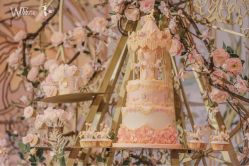 -DNA Wedding 婚礼记(上海店)