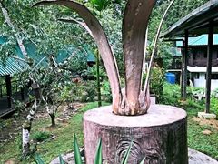 -乌鲁淡布隆国家公园