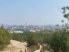 -白水寺森林公园
