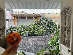 -Blue Concept Cafe&Farm·關於藍
