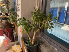 -沙掌门肉蟹煲(沙溪店)