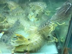 -班赞海鲜市场