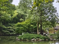 -杭州植物园