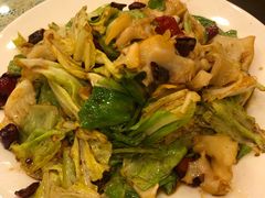 螺片炒卷心菜-林之六八·6886大连老菜馆
