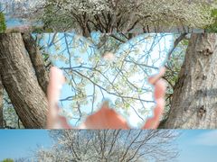 -盘龙城国家考古遗址公园