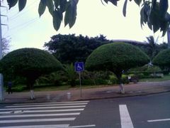 -万绿园