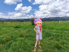 -敕勒川草原